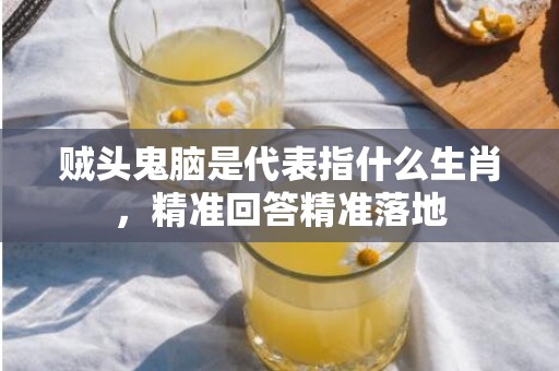 贼头鬼脑是代表指什么生肖，精准回答精准落地
