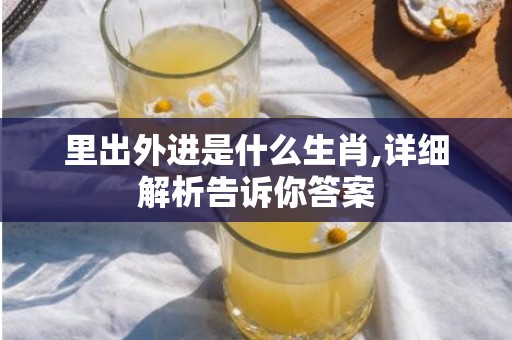 里出外进是什么生肖,详细解析告诉你答案