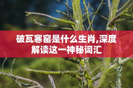 破瓦寒窑是什么生肖,深度解读这一神秘词汇