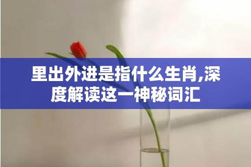 里出外进是指什么生肖,深度解读这一神秘词汇