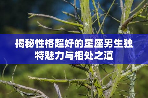 揭秘性格超好的星座男生独特魅力与相处之道