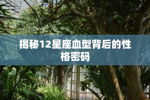 揭秘12星座血型背后的性格密码