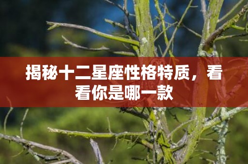 揭秘十二星座性格特质，看看你是哪一款