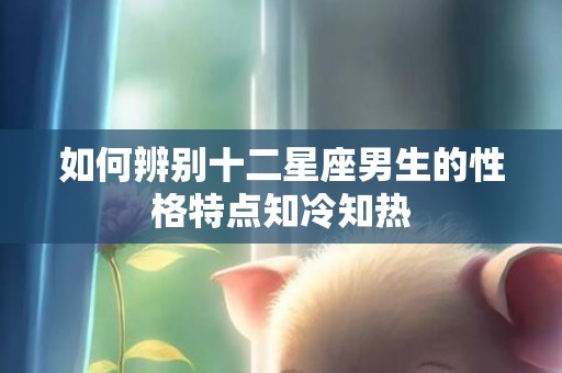 如何辨别十二星座男生的性格特点知冷知热