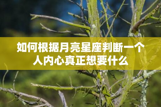 如何根据月亮星座判断一个人内心真正想要什么