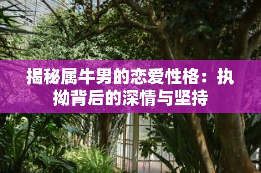揭秘属牛男的恋爱性格：执拗背后的深情与坚持