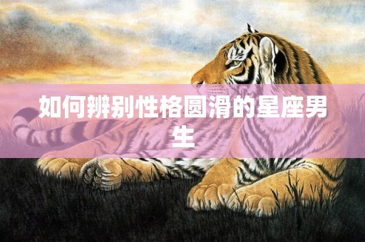 如何辨别性格圆滑的星座男生