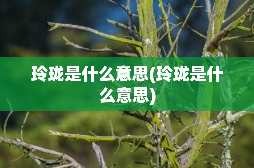 玲珑是什么意思(玲珑是什么意思)