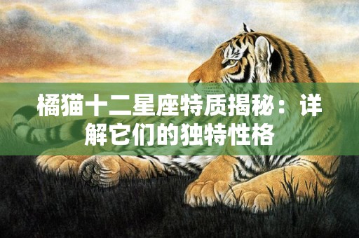 橘猫十二星座特质揭秘：详解它们的独特性格