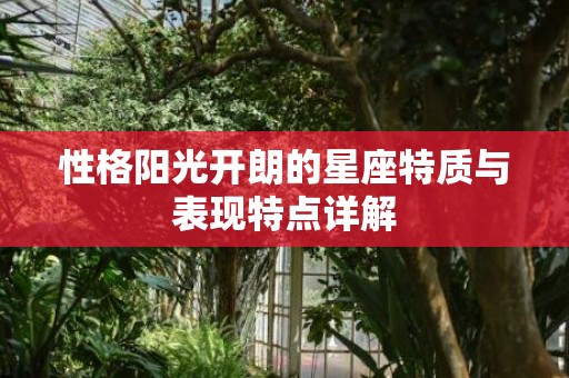 性格阳光开朗的星座特质与表现特点详解