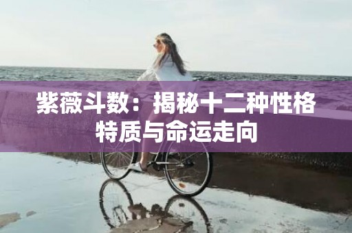 紫薇斗数：揭秘十二种性格特质与命运走向