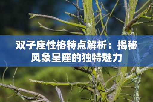 双子座性格特点解析：揭秘风象星座的独特魅力