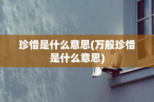 珍惜是什么意思(万般珍惜是什么意思)