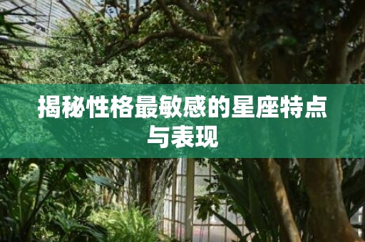 揭秘性格最敏感的星座特点与表现