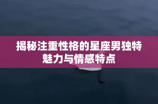 揭秘注重性格的星座男独特魅力与情感特点