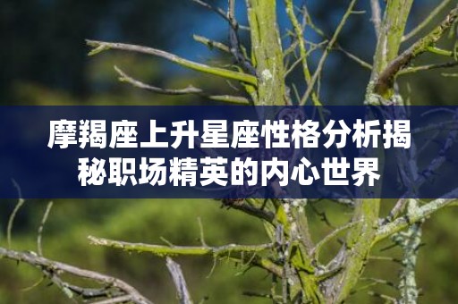 摩羯座上升星座性格分析揭秘职场精英的内心世界