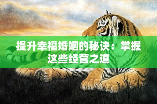 提升幸福婚姻的秘诀：掌握这些经营之道