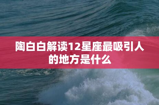 陶白白解读12星座最吸引人的地方是什么