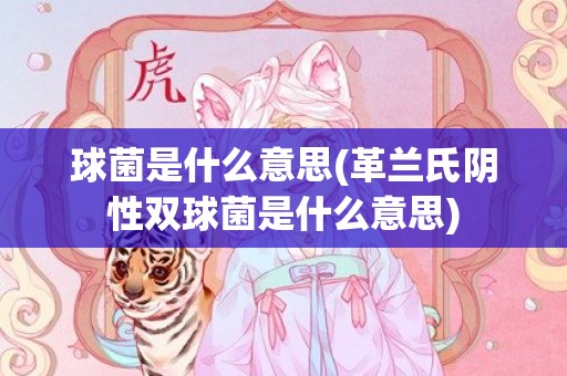 球菌是什么意思(革兰氏阴性双球菌是什么意思)