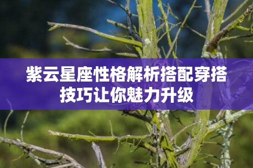 紫云星座性格解析搭配穿搭技巧让你魅力升级