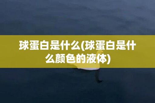 球蛋白是什么(球蛋白是什么颜色的液体)