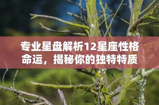 专业星盘解析12星座性格命运，揭秘你的独特特质