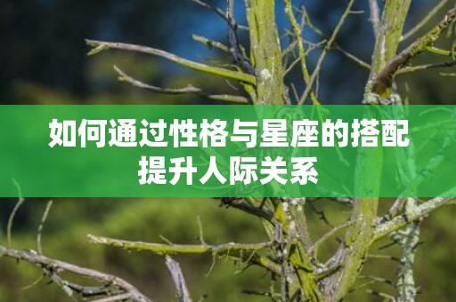 如何通过性格与星座的搭配提升人际关系