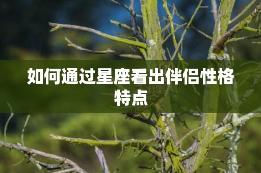 如何通过星座看出伴侣性格特点