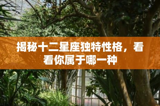 揭秘十二星座独特性格，看看你属于哪一种