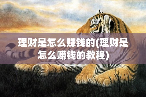 理财是怎么赚钱的(理财是怎么赚钱的教程)