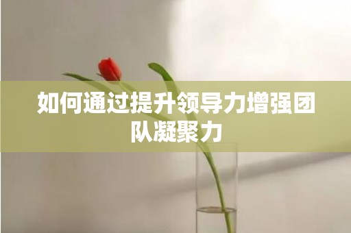 如何通过提升领导力增强团队凝聚力