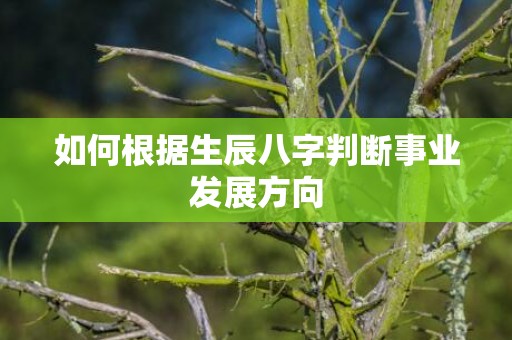 如何根据生辰八字判断事业发展方向