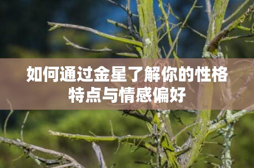如何通过金星了解你的性格特点与情感偏好