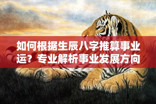 如何根据生辰八字推算事业运？专业解析事业发展方向