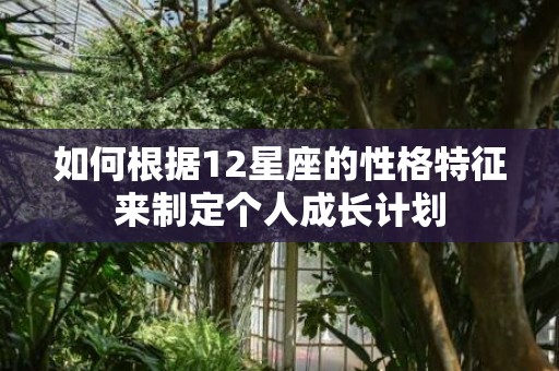 如何根据12星座的性格特征来制定个人成长计划
