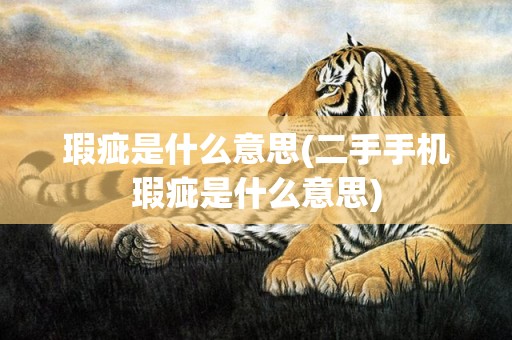 瑕疵是什么意思(二手手机瑕疵是什么意思)