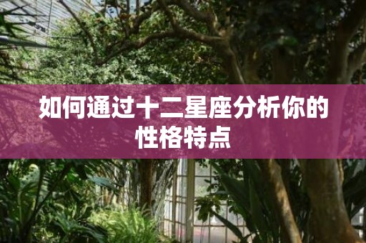 如何通过十二星座分析你的性格特点