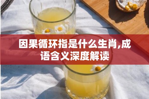 因果循环指是什么生肖,成语含义深度解读