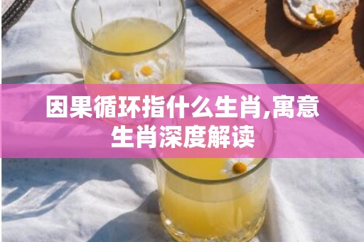 因果循环指什么生肖,寓意生肖深度解读