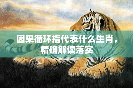 因果循环指代表什么生肖，精确解读落实