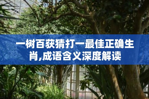一树百获猜打一最佳正确生肖,成语含义深度解读
