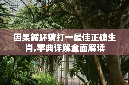 因果循环猜打一最佳正确生肖,字典详解全面解读