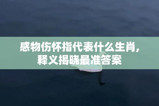 感物伤怀指代表什么生肖,释义揭晓最准答案