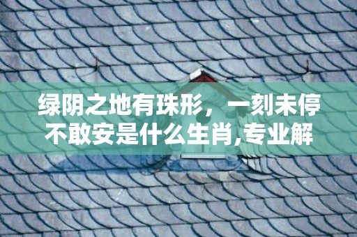 绿阴之地有珠形，一刻未停不敢安是什么生肖,专业解读全方位解析