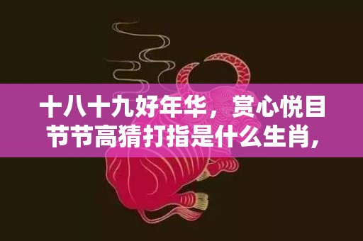 十八十九好年华，赏心悦目节节高猜打指是什么生肖,寓意生肖深度解读