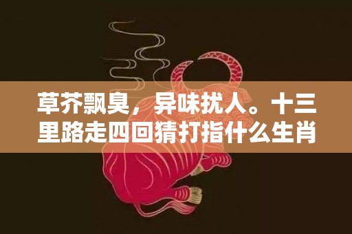 草芥飘臭，异味扰人。十三里路走四回猜打指什么生肖,专业解读全方位解析