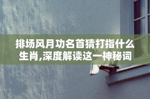 排场风月功名首猜打指什么生肖,深度解读这一神秘词汇