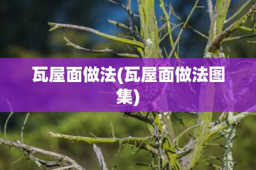 瓦屋面做法(瓦屋面做法图集)