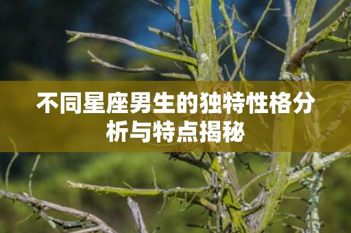不同星座男生的独特性格分析与特点揭秘