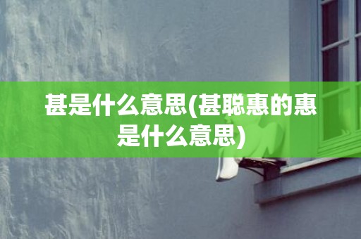甚是什么意思(甚聪惠的惠是什么意思)